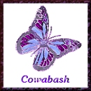 square 55, Cowabash