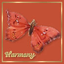 square 45, Harmony