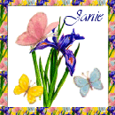 square 3, Janie