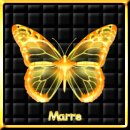 square 52, Marre