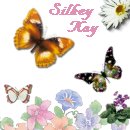 square 37, Silkey Kay